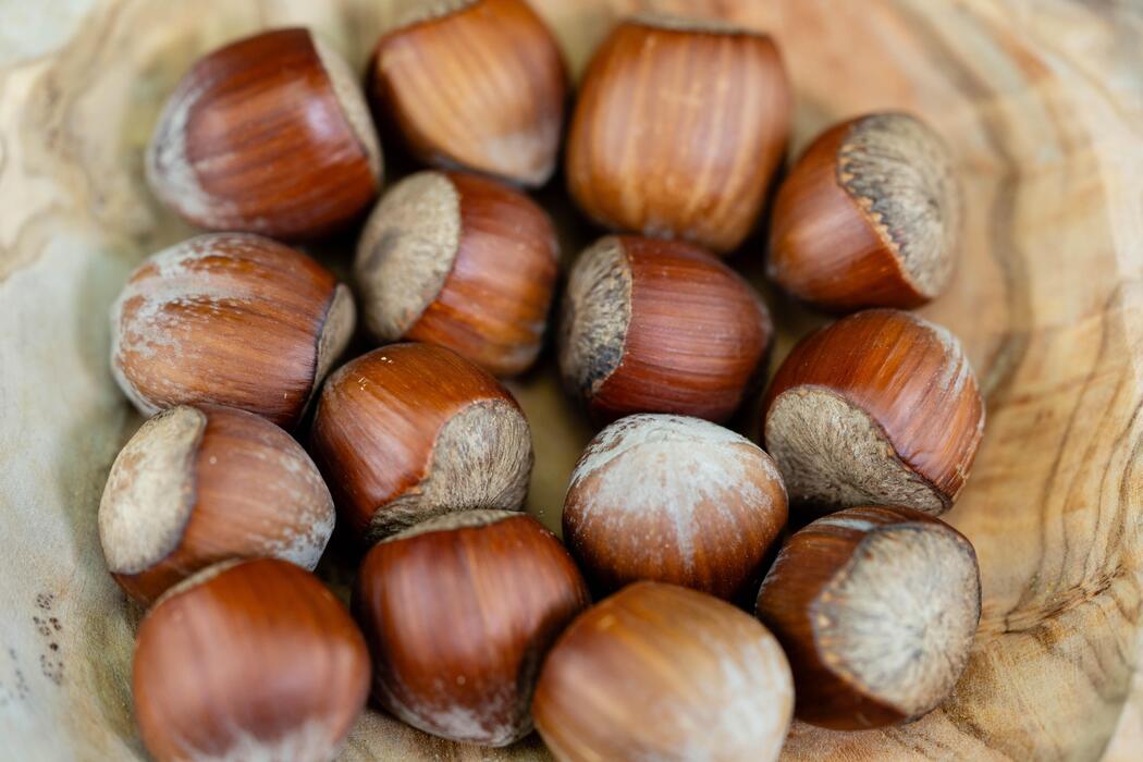 Lješnjak: Šumski dar za miran um i snagu